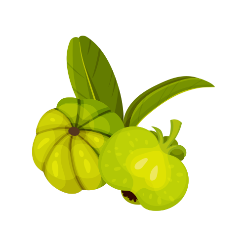 Image for Ggarcinia Cambogia