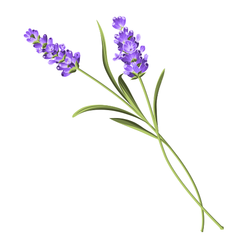 Image for Lavender