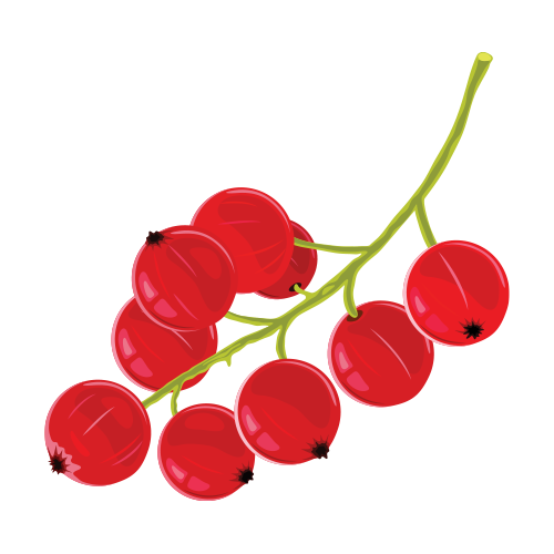 Image for Schisandra Berries