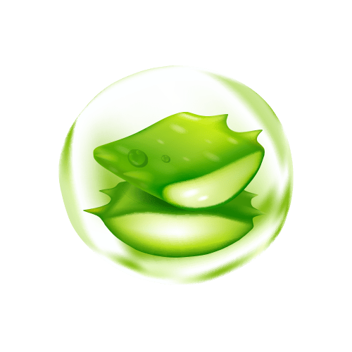 Image for Aloe vera